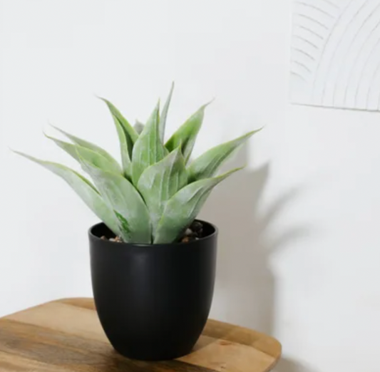 FAUX AGAVE IN POT